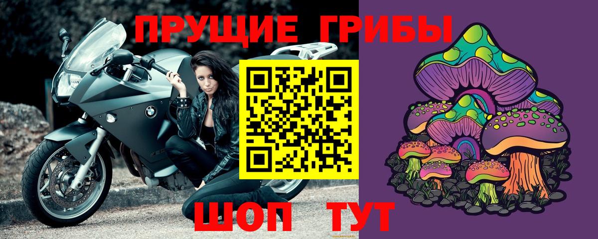 Благодарный  Галлюциногенные грибы MAGIC MUSHROOMS  Вход с VPN 